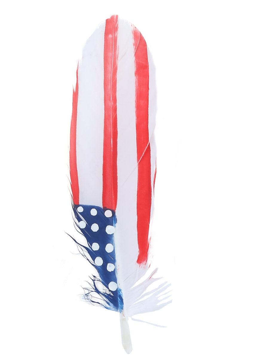 Decorative Feather 42038